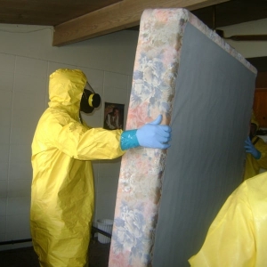 Photo of MOLD-OUT Services