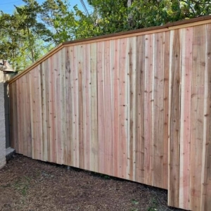 Photo of DWM Lawn & fence