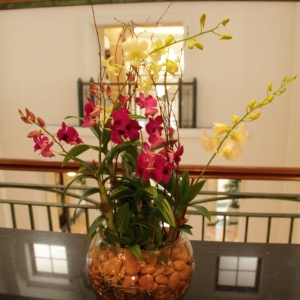 Photo of Unique Foliage
