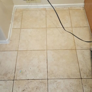 Photo of Platinum Carpet Cleaning