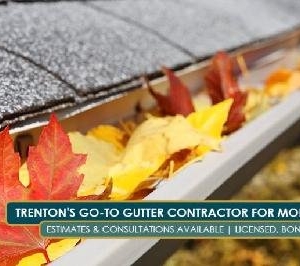 Photo of Peter Weidmann Gutter Services and Power Washing