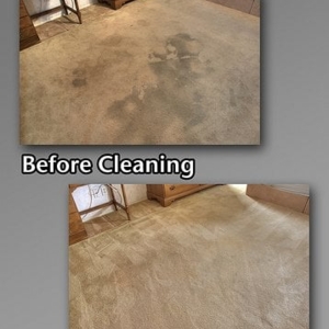 Photo of Pacific Carpet & Tile Cleaning