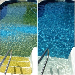 Photo of Pool Pro Service - Tracy's Best Pool Service