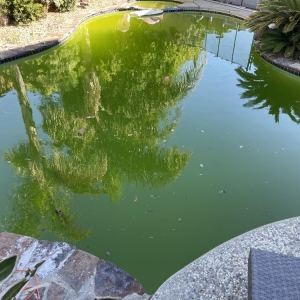 Photo of Pool Pro Service - Tracy's Best Pool Service
