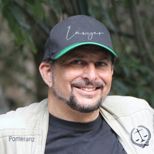 Photo of Law Offices of David A. Pomeranz