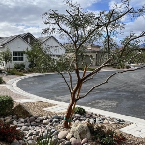 Photo of Great Landscaping And Maintenance