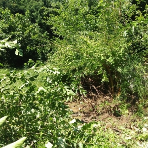Photo of Kinney's Handywork