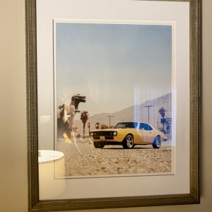 Photo of M Beshara