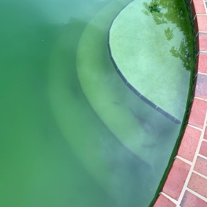 Miramar Suburban Pools