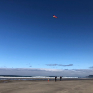 Photo of Elmer's Flag & Banner, Kites Too!