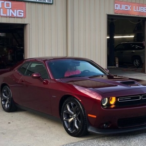 Photo of Top Shelf Auto & Motorcycle Detailing