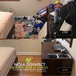 Photo of Nola Disinfect