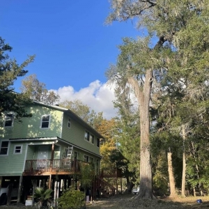 Photo of Blackwater Land Management