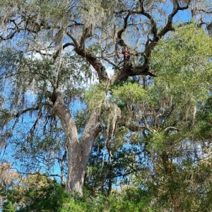 Photo of Blackwater Land Management