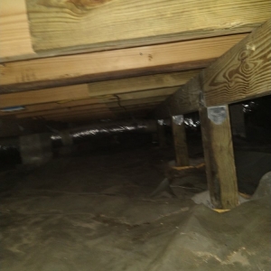 Photo of Crawlspace ER