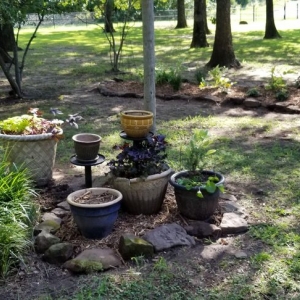 Photo of Steve Stokely landscaping
