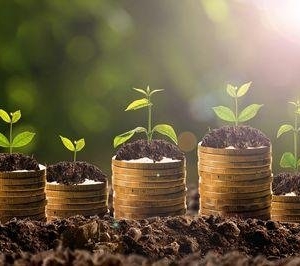 Photo of Real Estate Solutions