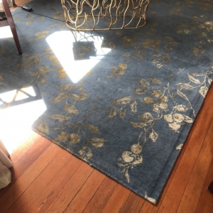 Photo of Stanford Carpet & Upholstery Cleaning