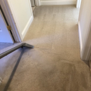 Photo of Stanford Carpet & Upholstery Cleaning