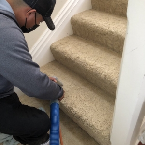 Photo of Stanford Carpet & Upholstery Cleaning