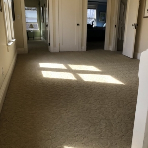 Photo of Stanford Carpet & Upholstery Cleaning