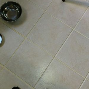 Photo of First Choice Carpet and Tile Care