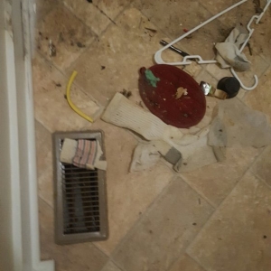 Photo of Check Property Group