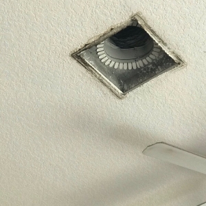 Photo of South Florida Water and Mold Restoration