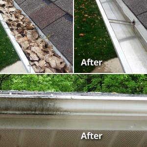 Photo of Shingle Clean - Columbia