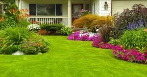 Photo of A Classic Cut Lawn Service