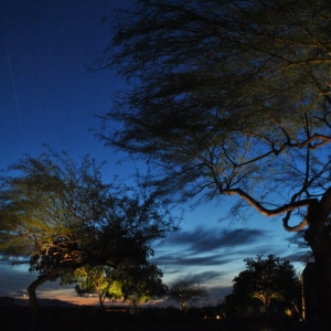 Photo of Moon Valley Lighting