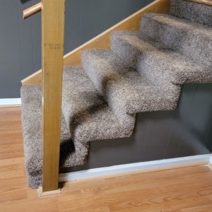 Photo of Complete Carpet Solutions
