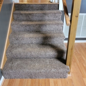 Photo of Complete Carpet Solutions