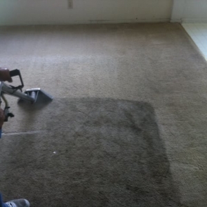 Photo of EZ Carpet Cleaning