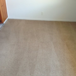 Photo of EZ Carpet Cleaning