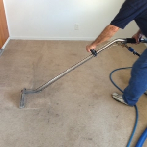 Photo of EZ Carpet Cleaning