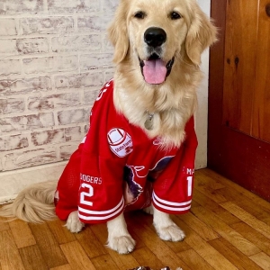 Photo of Jenny Smith - State Farm Insurance Agent