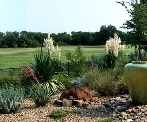 Photo of Flowers' Gardens & Landscapes