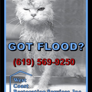 Photo of West Coast Restoration Services