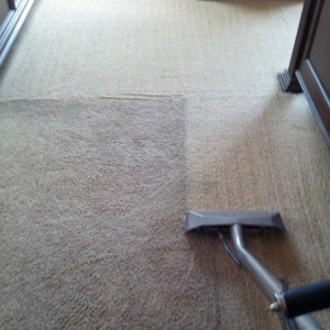 Photo of Ace Of Clean