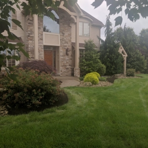 Photo of KP Leaf and Lawn