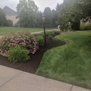 Photo of KP Leaf and Lawn