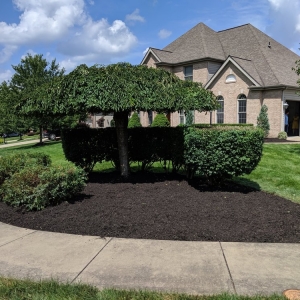 Photo of KP Leaf and Lawn