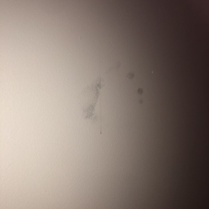 Photo of Galaxy Countertops