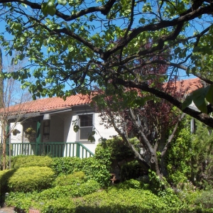 Photo of Wilma Daniel, Broker