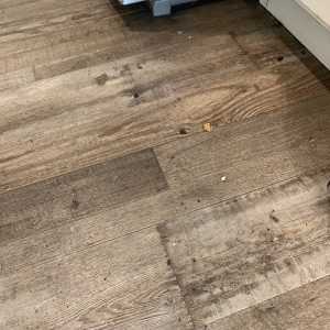 Photo of East County Cleaning Services