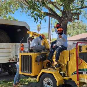 Photo of F & S Tree Service & Landscaping