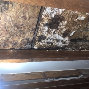Photo of Morrow Roofing & Seamless Gutters
