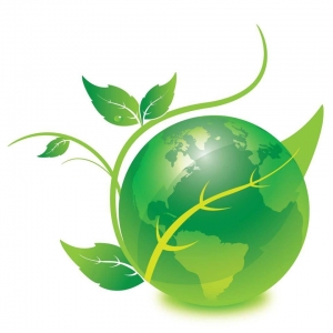 Photo of Eco-Cleaning Services