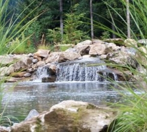 Photo of Woody's Custom Landscaping